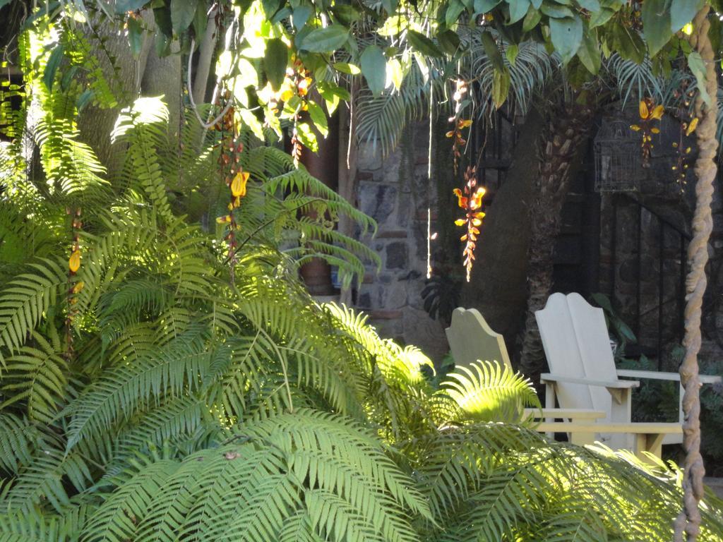 Cissus Hotel Boutique (Adults Only) Antigua Exterior foto