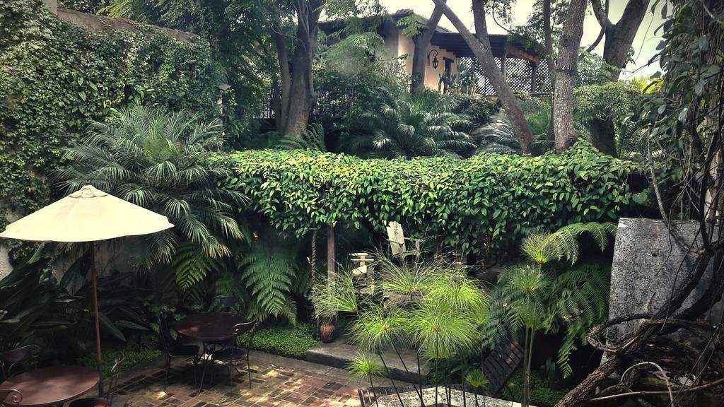 Cissus Hotel Boutique (Adults Only) Antigua Exterior foto